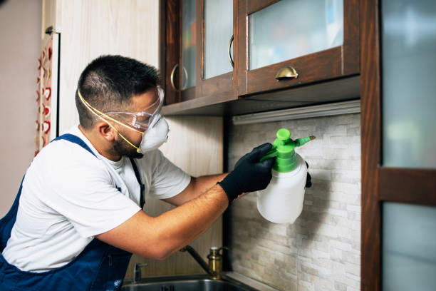 Lake Morton Berrydale, WA Pest Control Pros