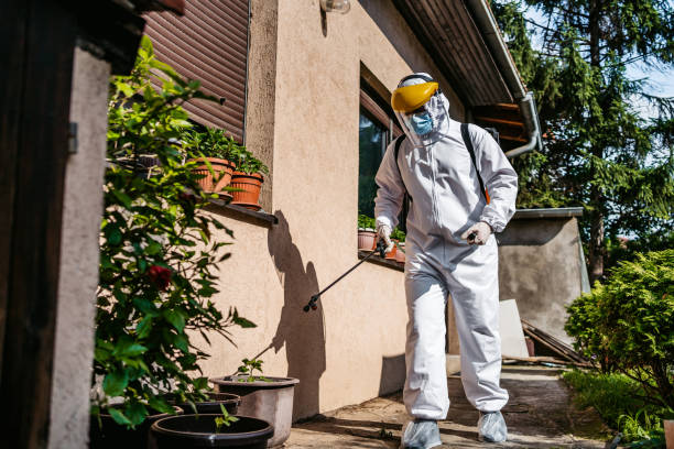 Best Rat Extermination Near Me  in Lake Morton Berrydale, WA