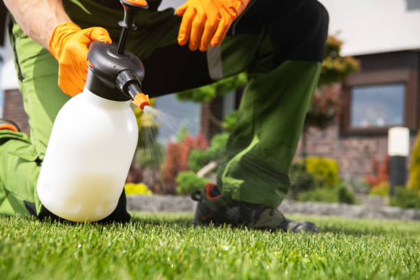 Best Insect Control  in Lake Morton Berrydale, WA