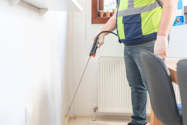 Best Termite Control Services  in Lake Morton Berrydale, WA