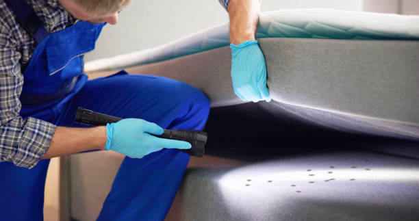 Best Pest Removal Services  in Lake Morton Berrydale, WA