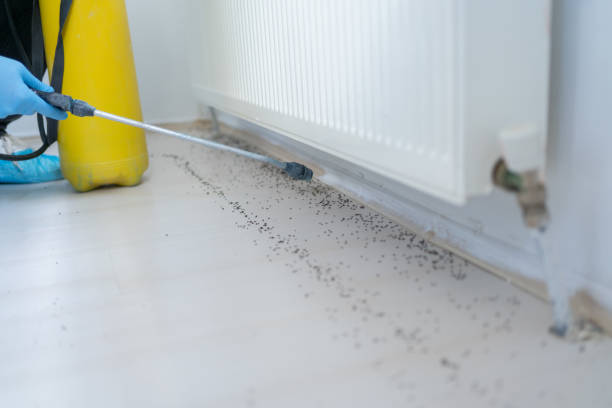 Best Emergency Pest Control  in Lake Morton Berrydale, WA