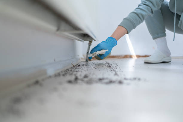 Best Affordable Pest Control Services  in Lake Morton Berrydale, WA