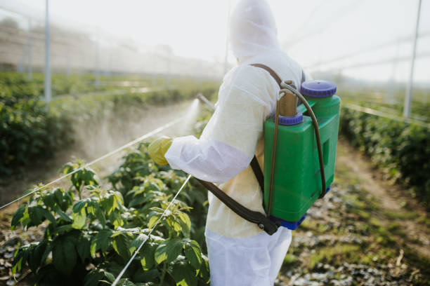Best Best Pest Control Companies  in Lake Morton Berrydale, WA